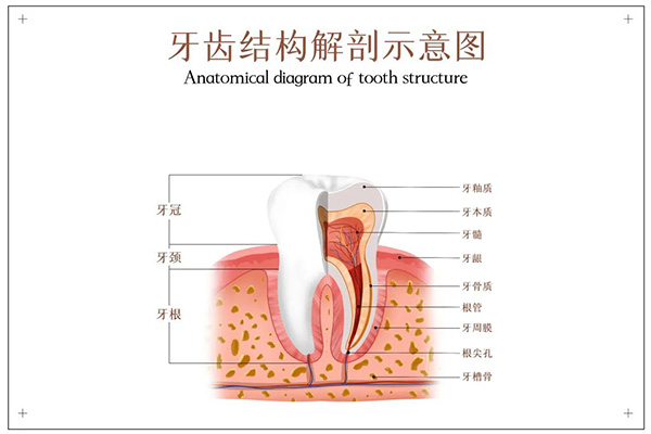 微信图片_20220408092206.jpg