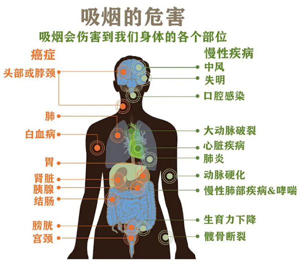 微信图片_20220601170516.jpg