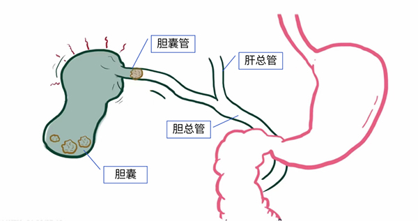 微信图片_20221027173652.jpg